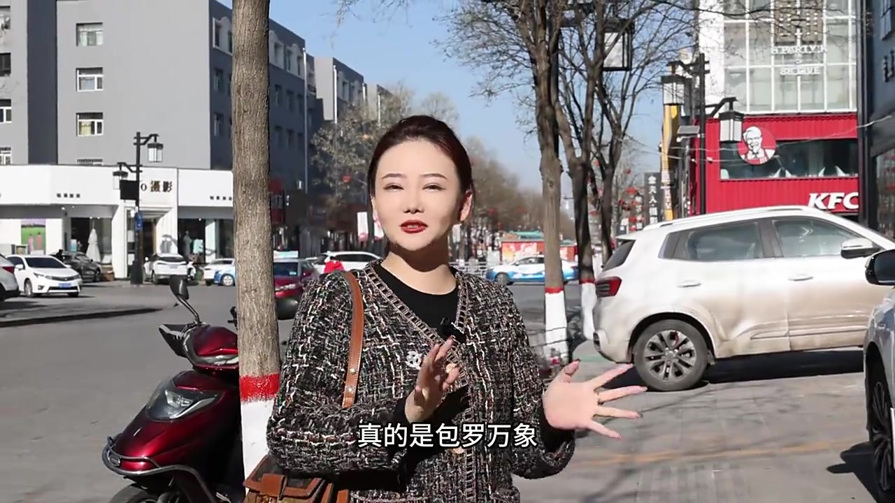 城墙里也有好吃的川菜馆子啦,推荐水煮鱼