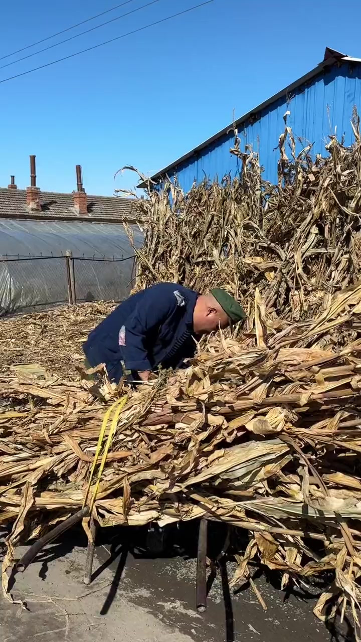爆炒花花肠子炖炖臭鱼，味道杠杠滴