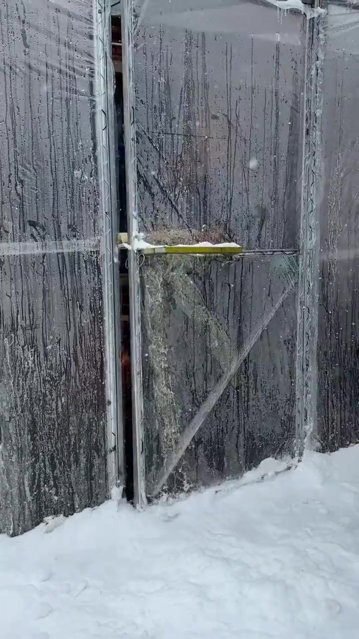 鳕鱼炖冻豆腐，鱼鲜豆腐嫩