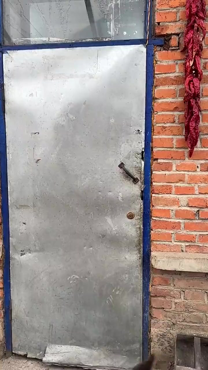 鹅胗炒山野菜，油泼干豆腐