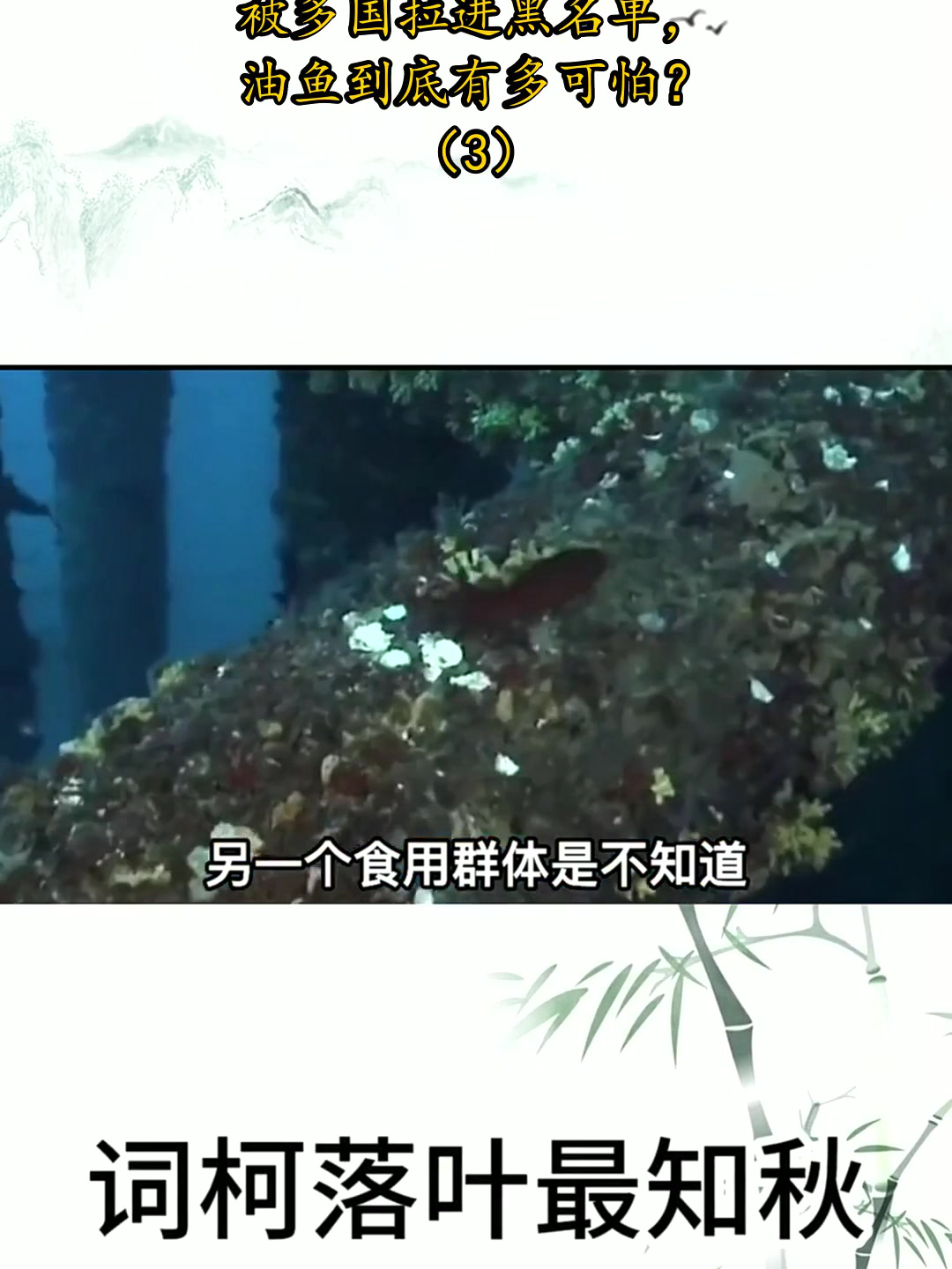 吃完化身喷射战士,被多国拉进黑名单,油鱼到底有多可怕?(3)