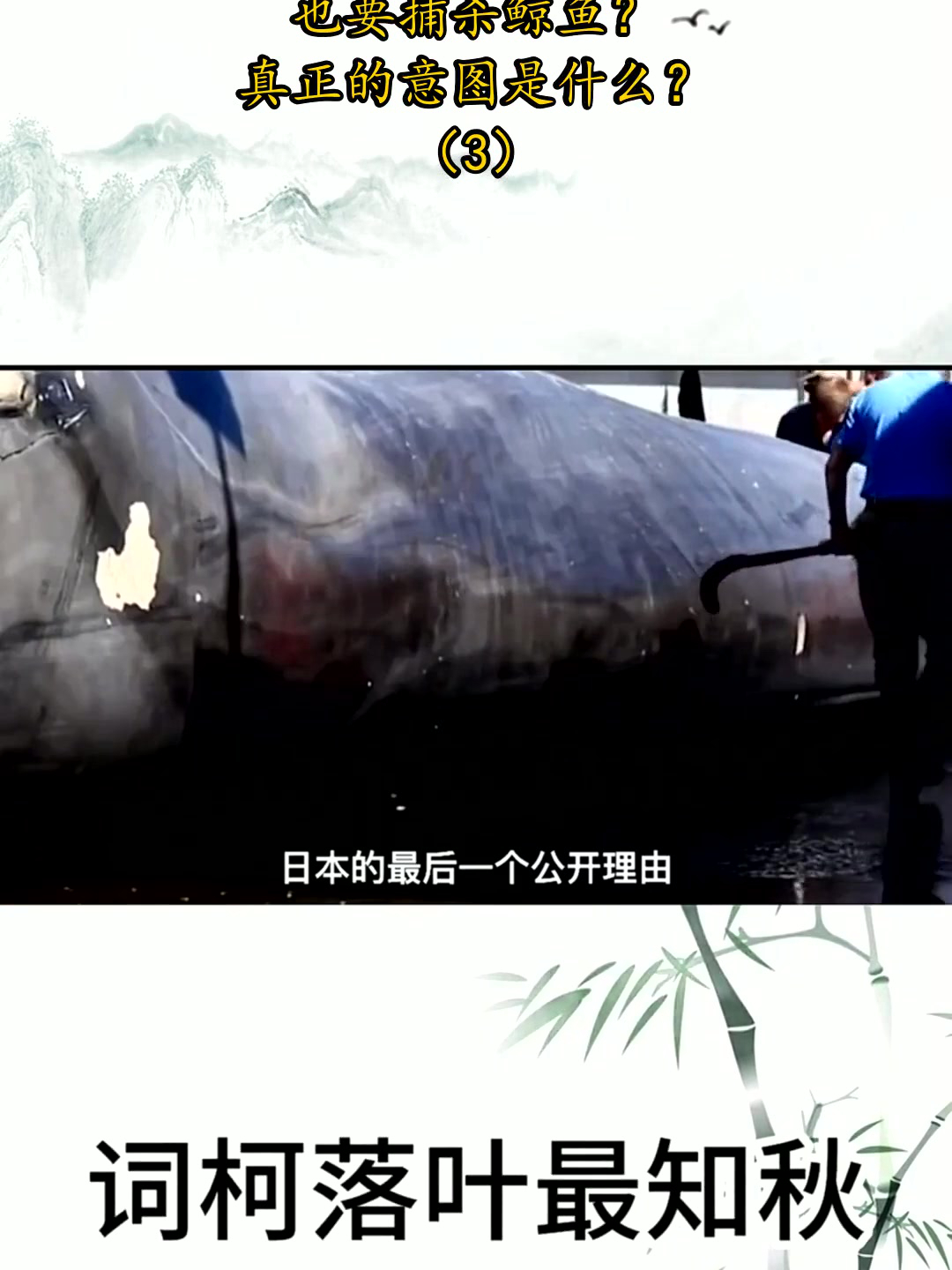 为何日本宁可被罚80亿，也要捕杀鲸鱼？真正的意图是什么？（3）