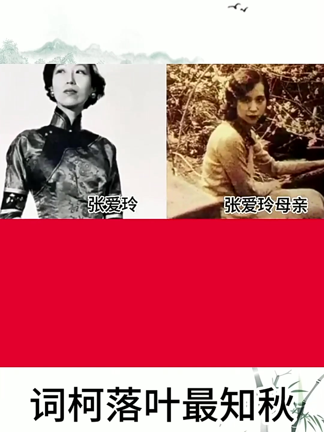 张爱玲历史人物传记事视频