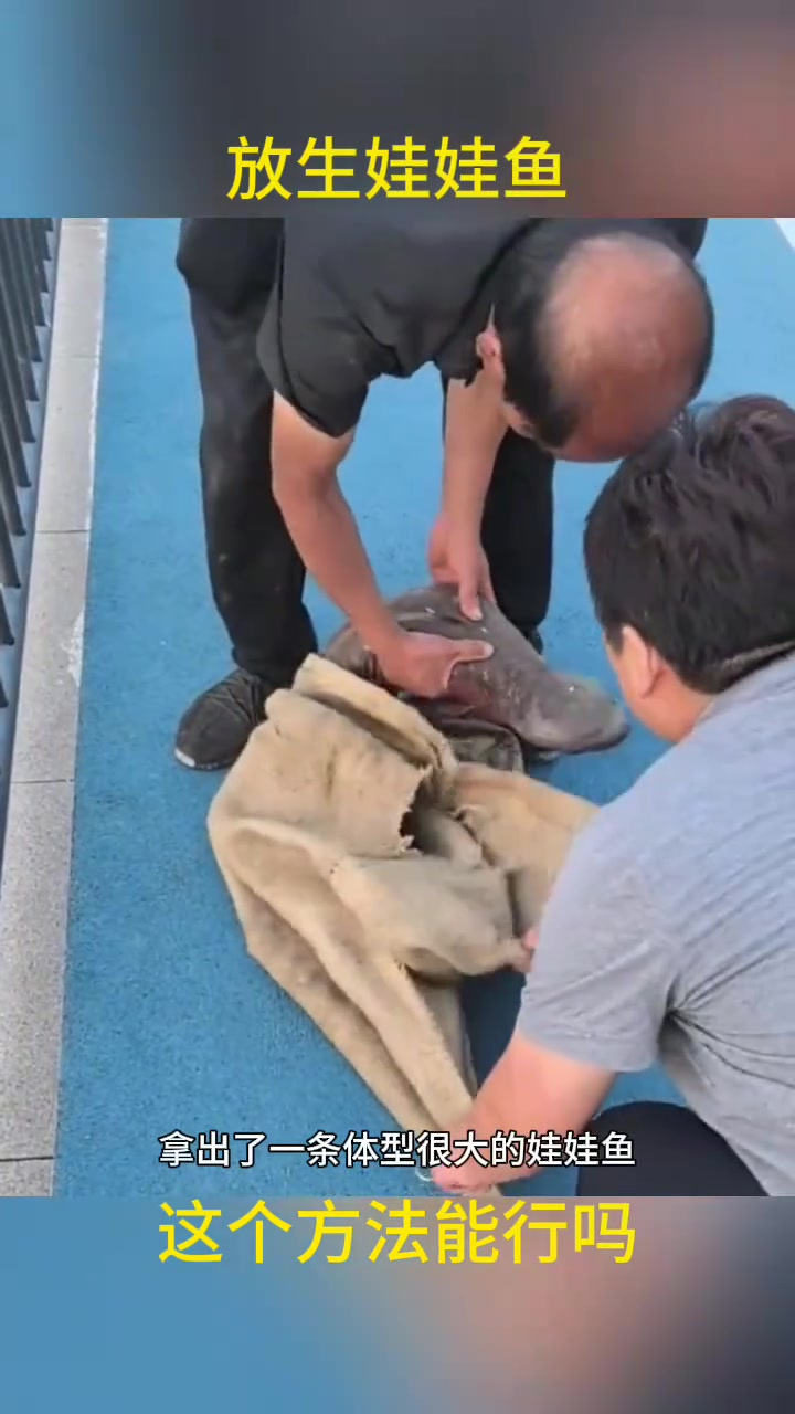 放生娃娃鱼,这个方法能行吗