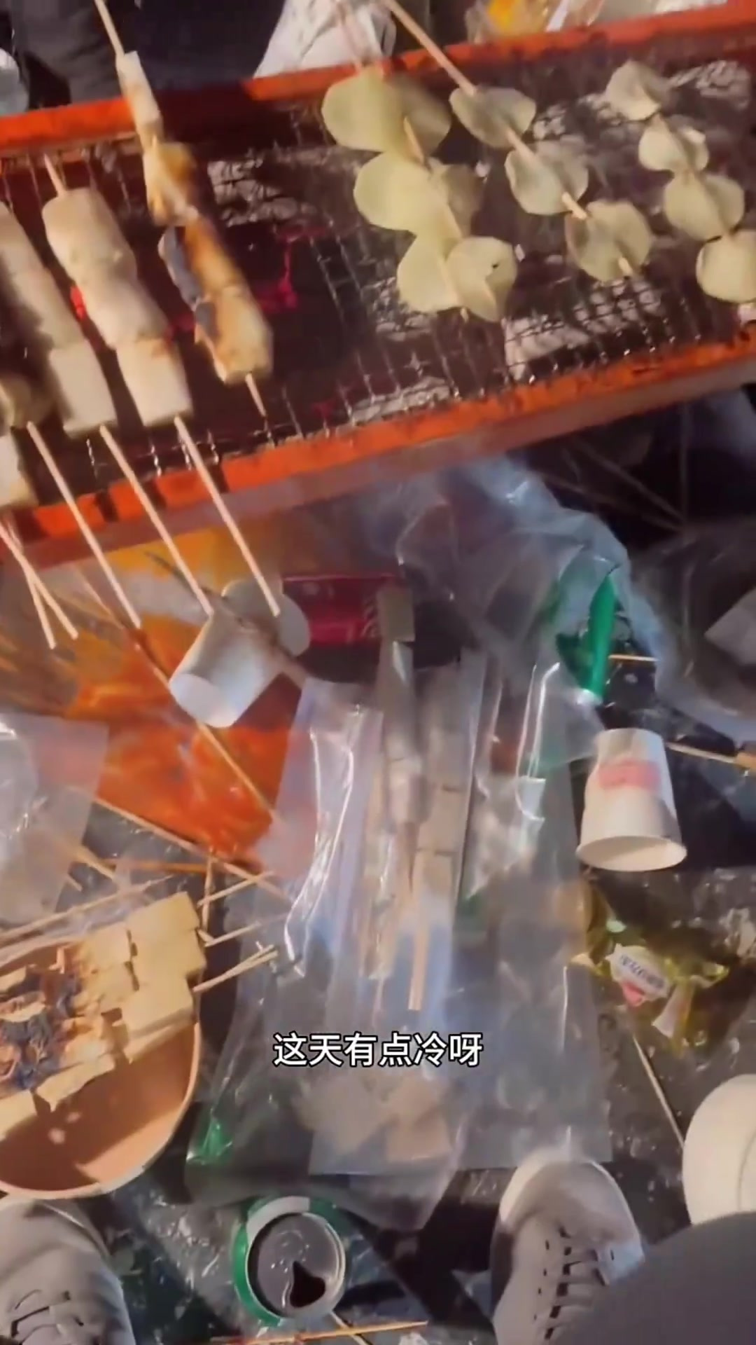 露营烧烤乐趣多,美女相伴心情好