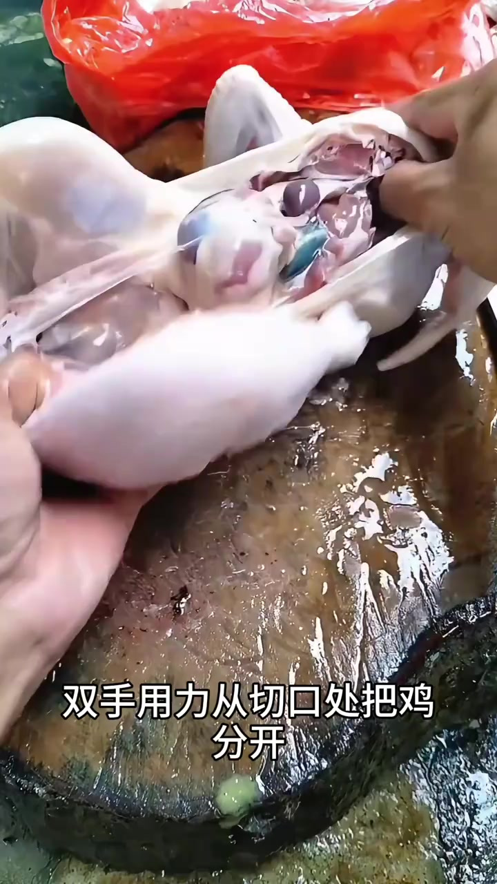 轻松处理鸡只:简单刀法与内脏分离技巧分享