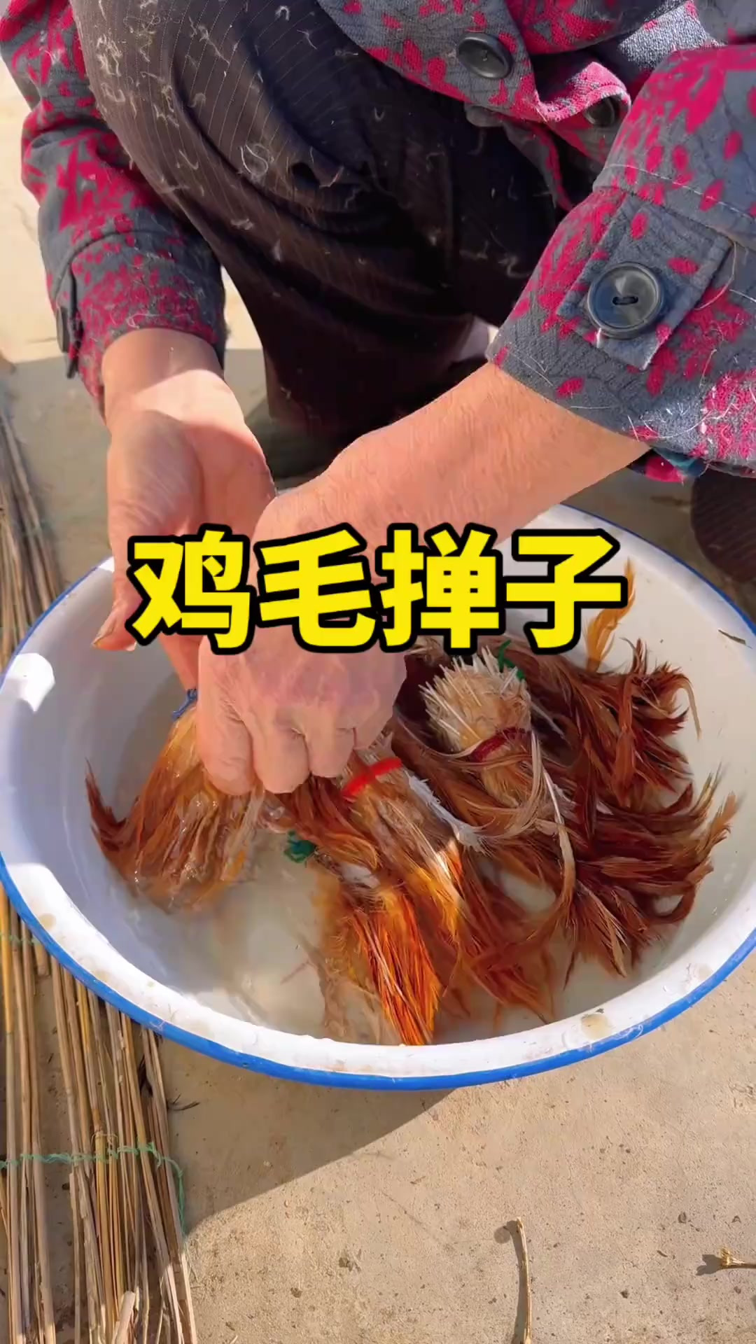 鸡毛掸子最大的用途是什么？