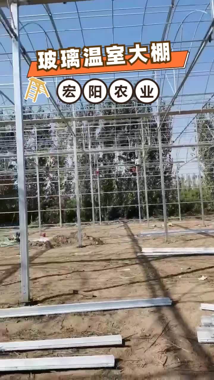 农业温室大棚 智能玻璃温室大棚 蔬菜温室大棚 连体大