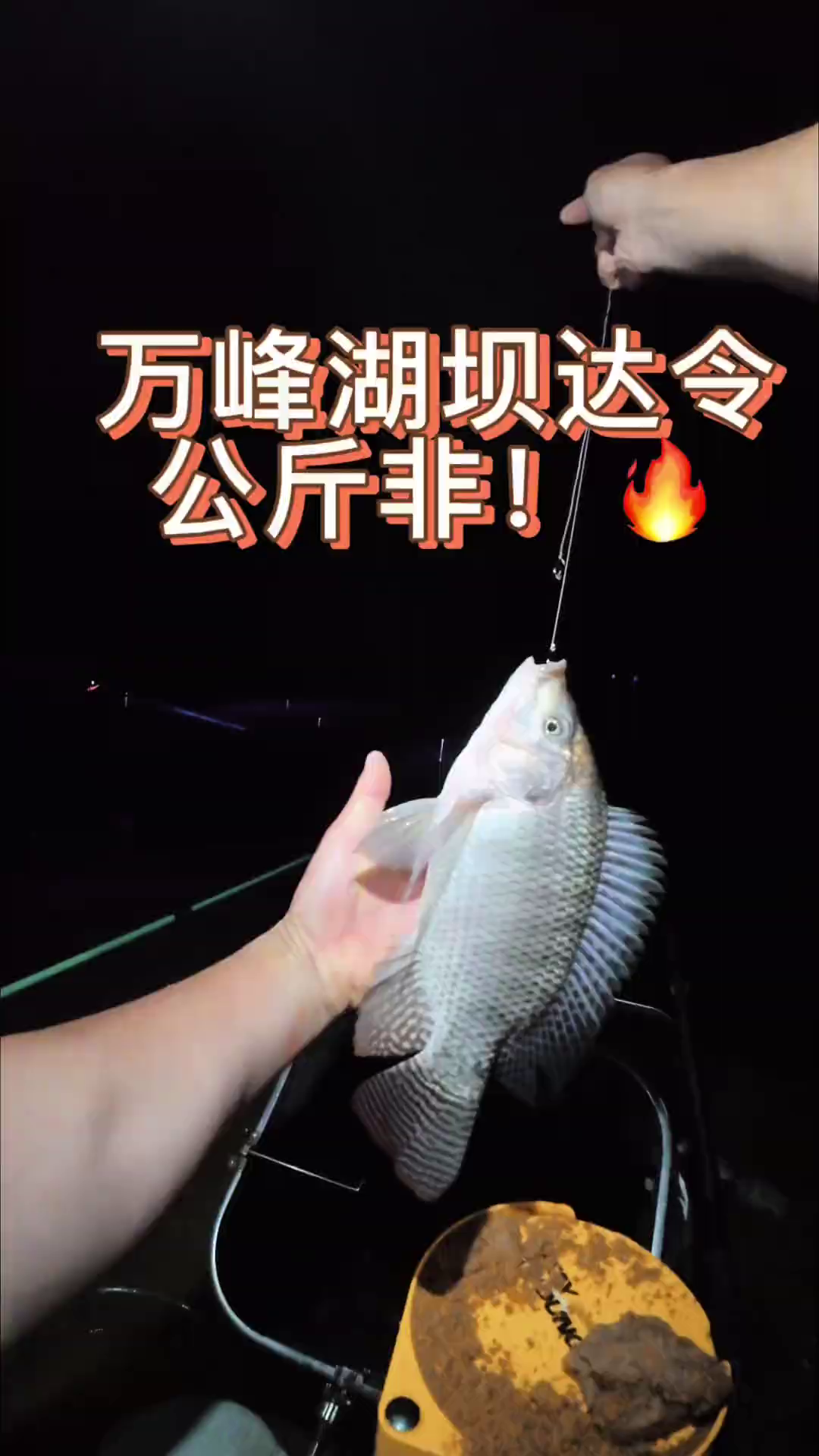 探钓万峰湖上游坝达令！鱼情暴躁炸杆切线
