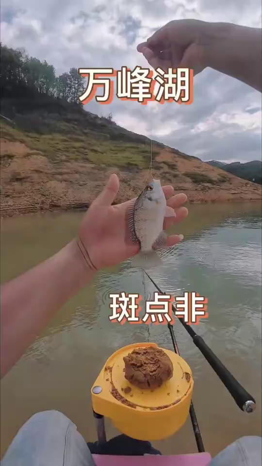 爱钓鱼的涛涛：来感受万峰湖的狂躁鱼情！