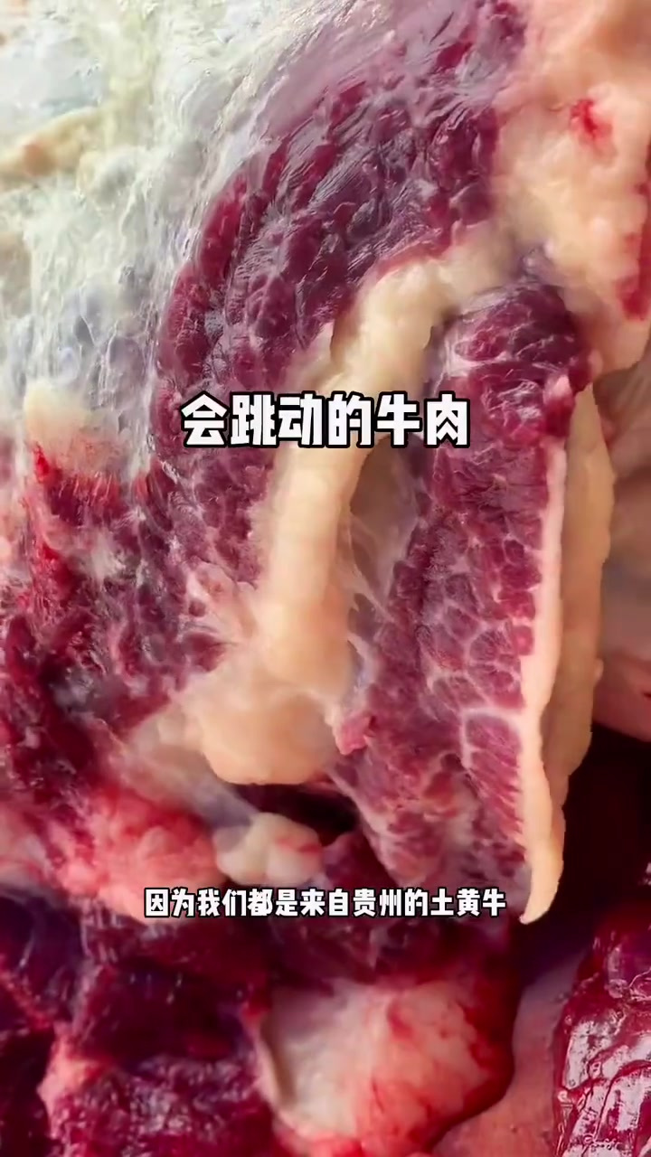 这家的牛肉特别好吃