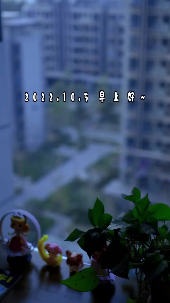 今天给儿媳妇做的四素菌菇汤