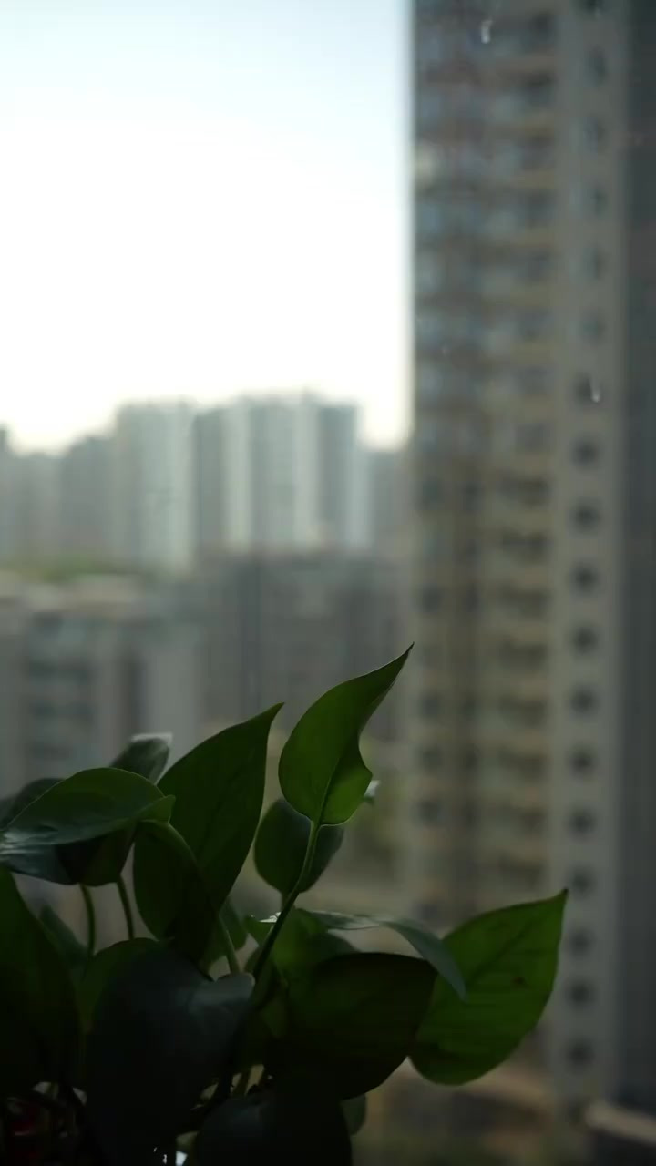 给儿媳妇做了一个全麦花生酱烧饼,全麦面粉的又一个新做法