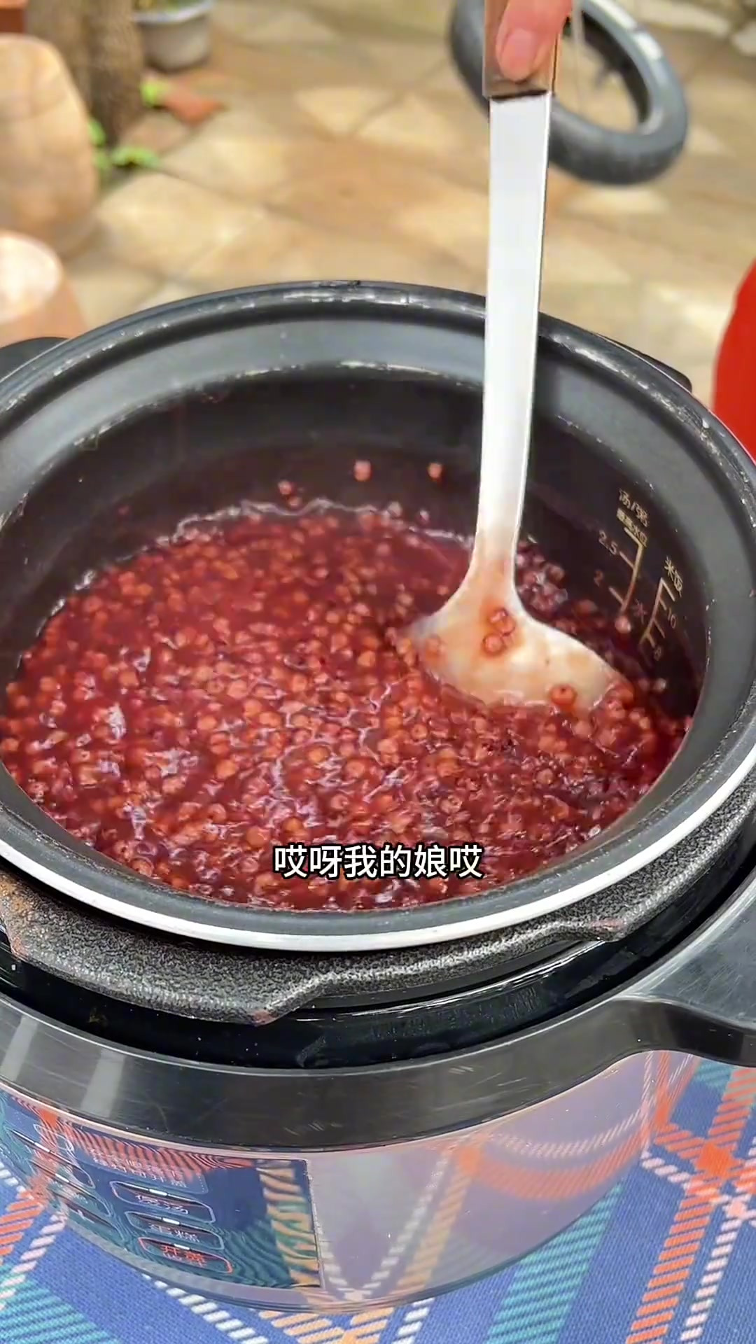 今天熬高粱米粥,糯糯的可香了