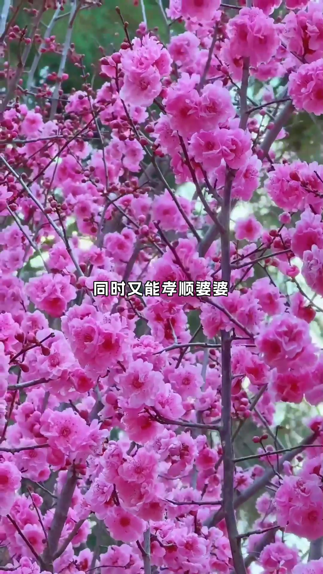 婆婆偷看儿媳的菜谱本,隐私侵犯,儿媳很无奈呀!