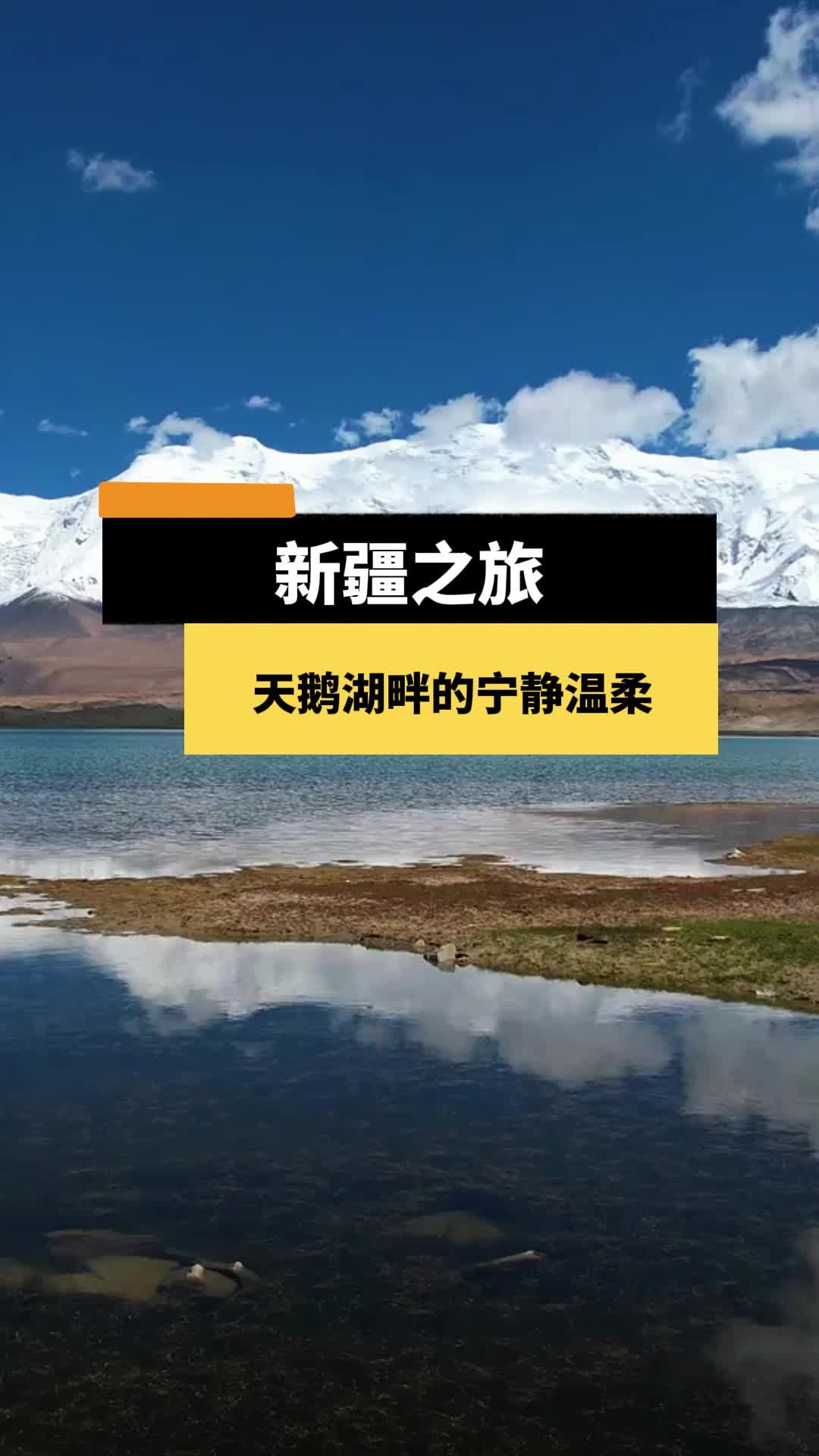 新疆之旅:天鹅湖畔的宁静温柔 新疆性价比旅游攻略 特价旅游推荐 阿勒泰旅游 旅行