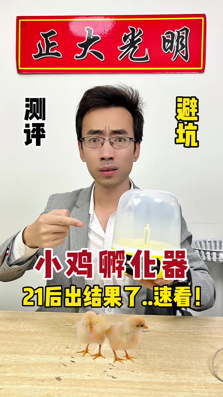 测了二十一天鸡毛都没有,小鸡孵化器就是智商税