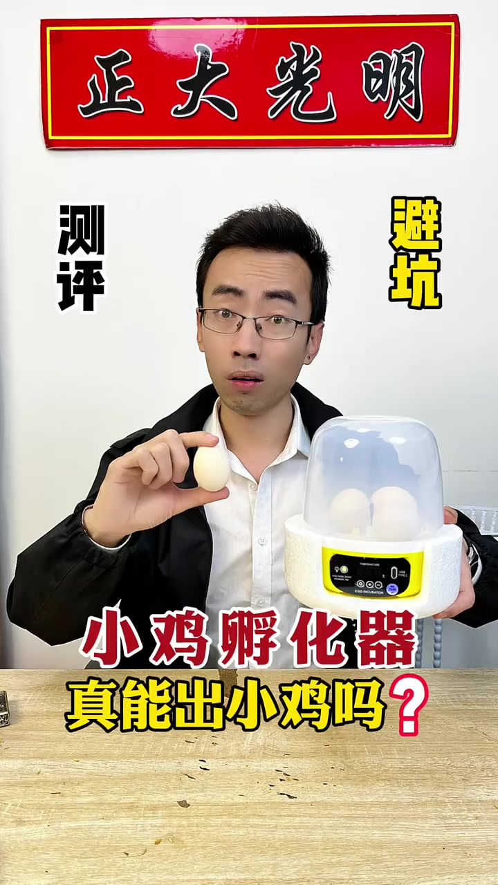 小鸡崽子孵化器真的可以孵出小鸡崽吗，测它一下