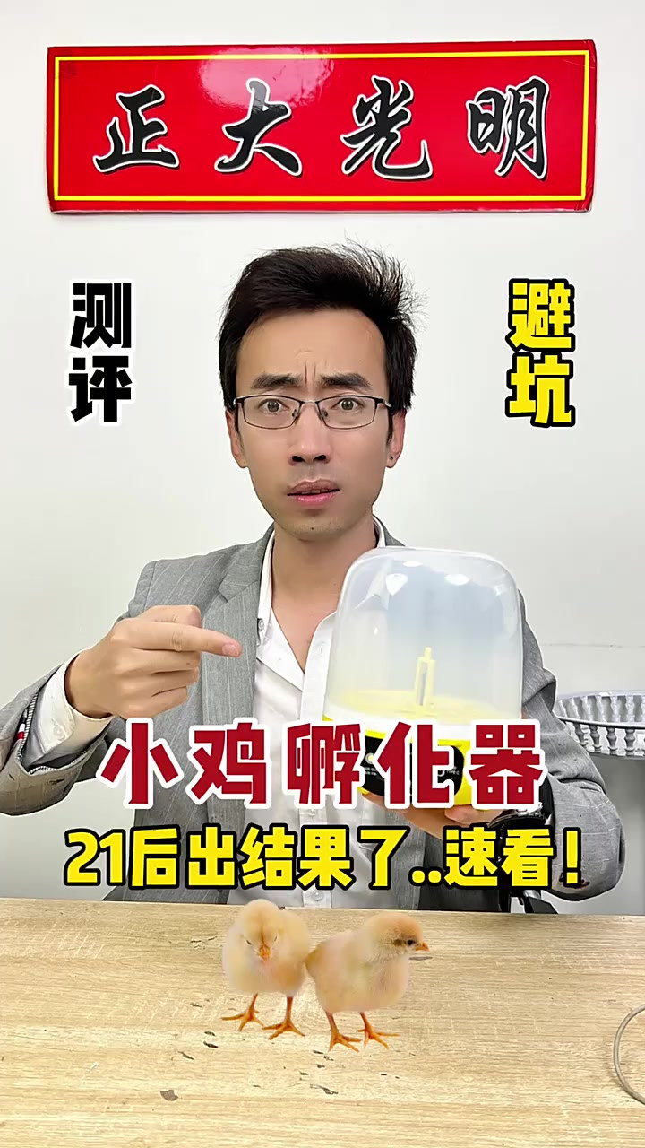 测了二十一天鸡毛都没有，小鸡孵化器就是智商税