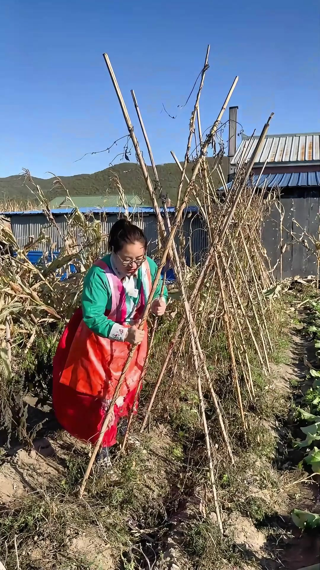 朝鲜族下饭菜，酱牛肉地瓜梗
