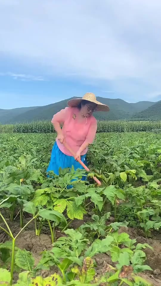 在延边还有这么好吃的明太鱼，你还没吃过吧