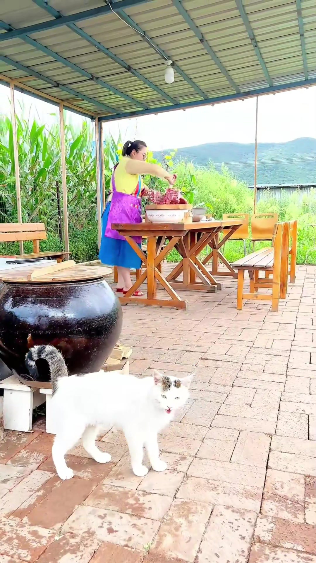 排骨炖土豆干香迷糊了,我的乡村生活