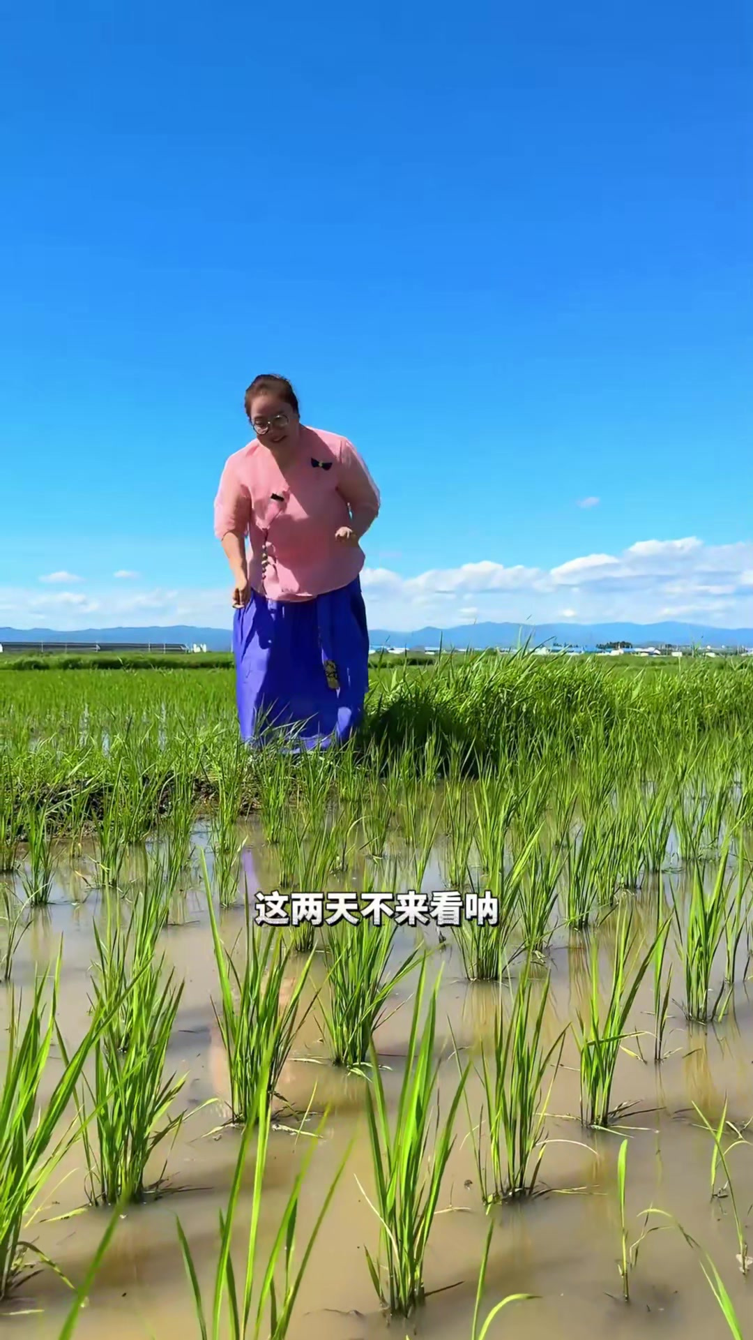 正宗朝鲜族石锅拌饭,我的乡村生活