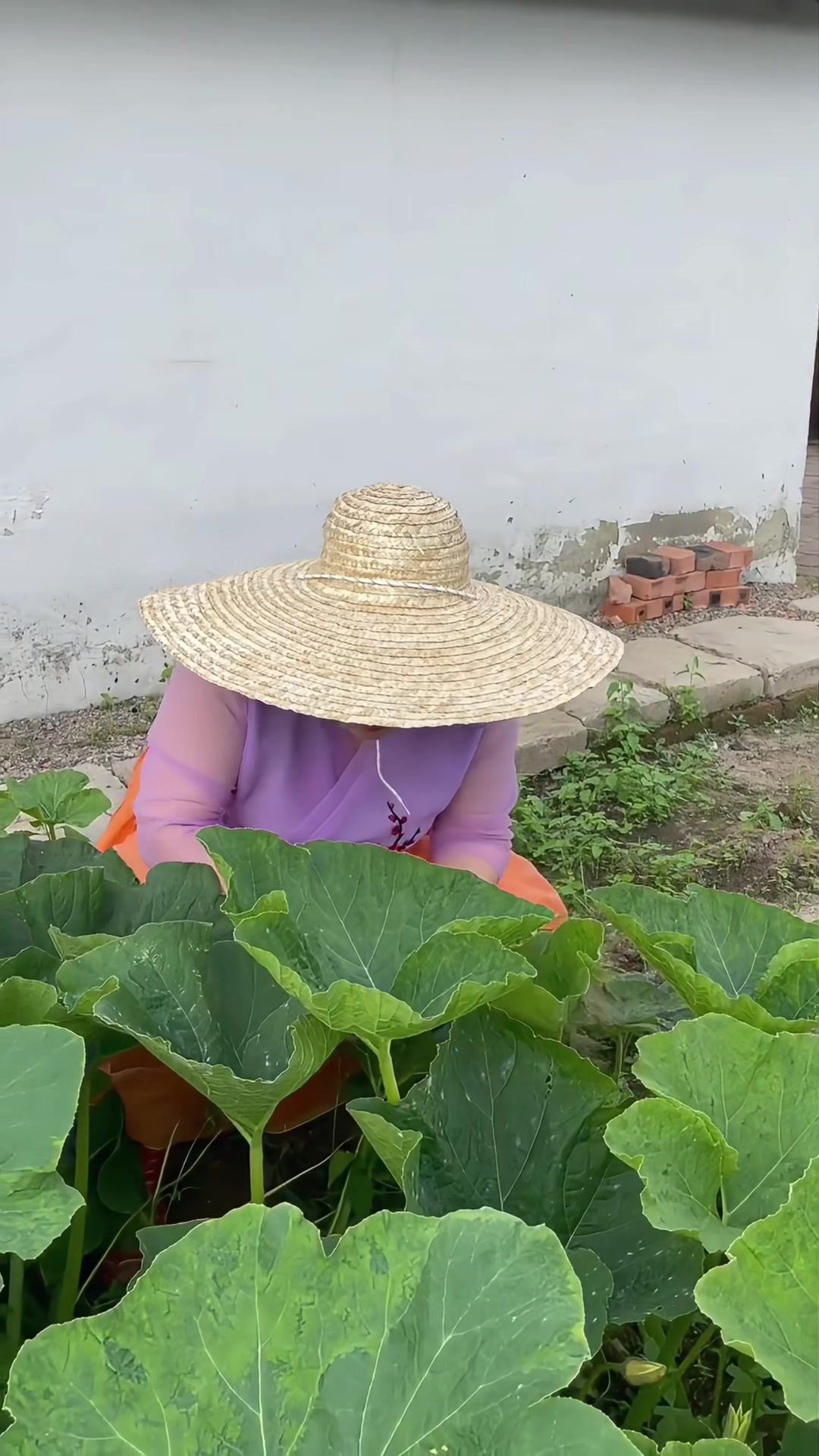 朝鲜族凉拌冷面，不知道你们觉得怎么样
