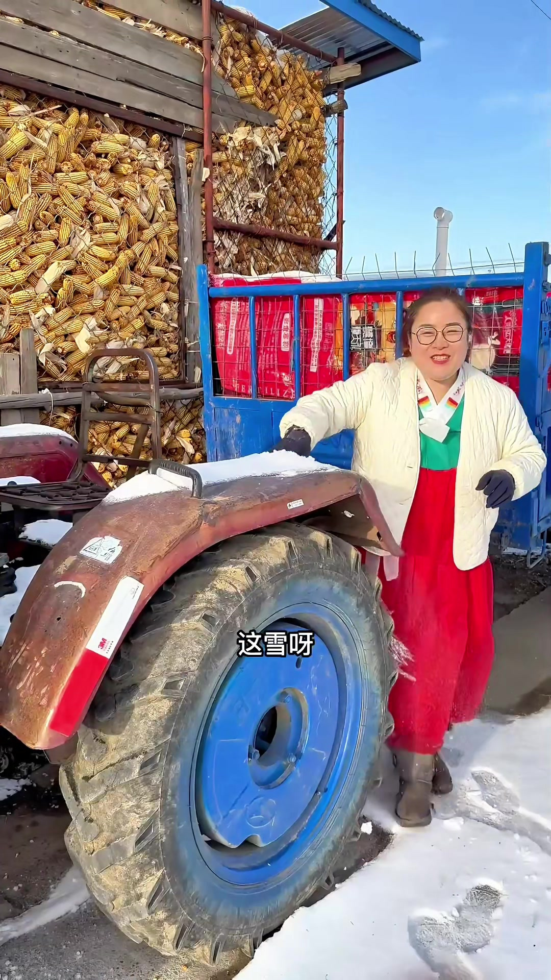 东北铁锅炖大鹅，香迷糊了