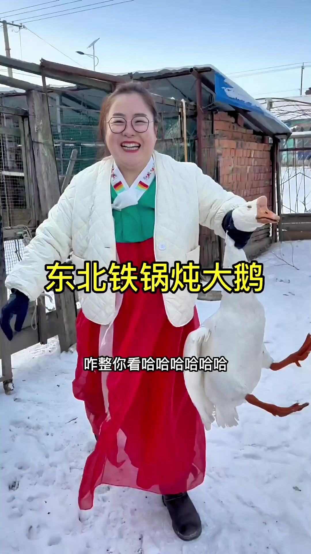 东北铁锅炖大鹅,香迷糊了