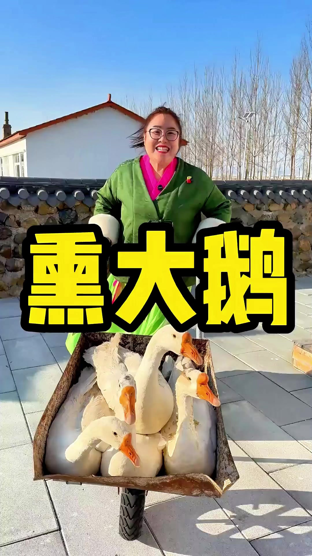 猫冬了做两只熏大鹅，味道真的一绝