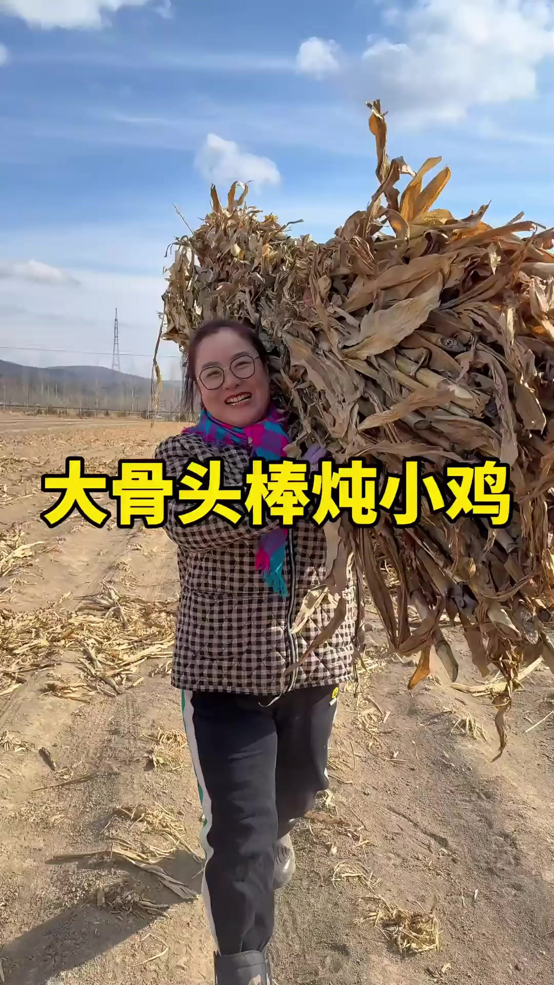 东北猫冬生活,今天做个大骨头棒炖小鸡