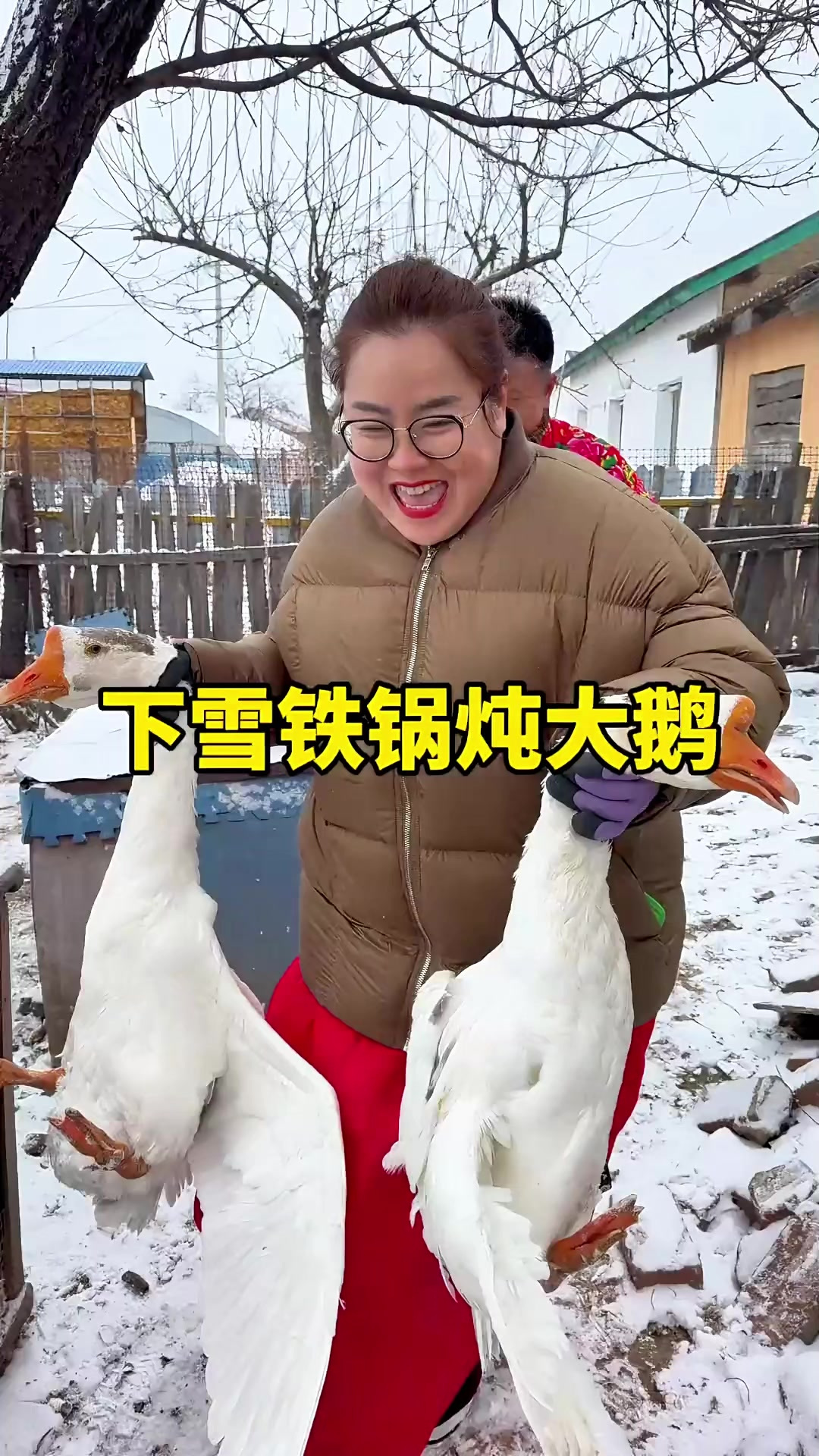 一下第一场雪，全村的大鹅吓得都直打哆嗦