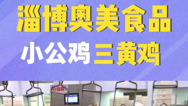 冷鲜麻鸡价格,淄博奥美食品有限公司坚守诚信经营的原则,赢得了