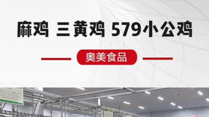 579小公鸡 麻鸡 冷鲜小公鸡