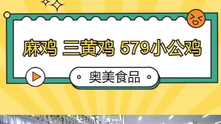 济宁冷鲜麻鸡厂家 日照三黄鸡加工