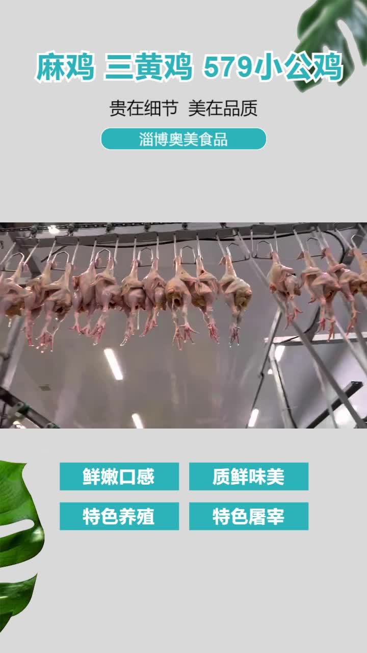 冷冻小公鸡供应链 麻鸡供应链 冷冻三黄鸡价格