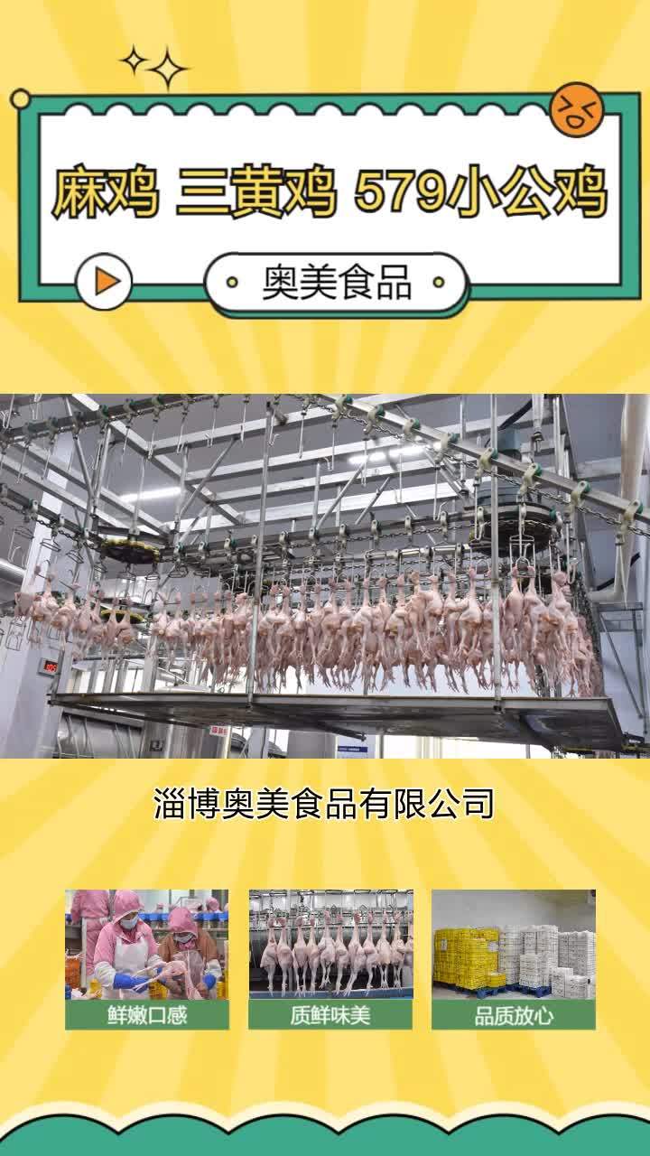 三黄鸡批发 冷冻小公鸡供应链 冷鲜麻鸡供应商