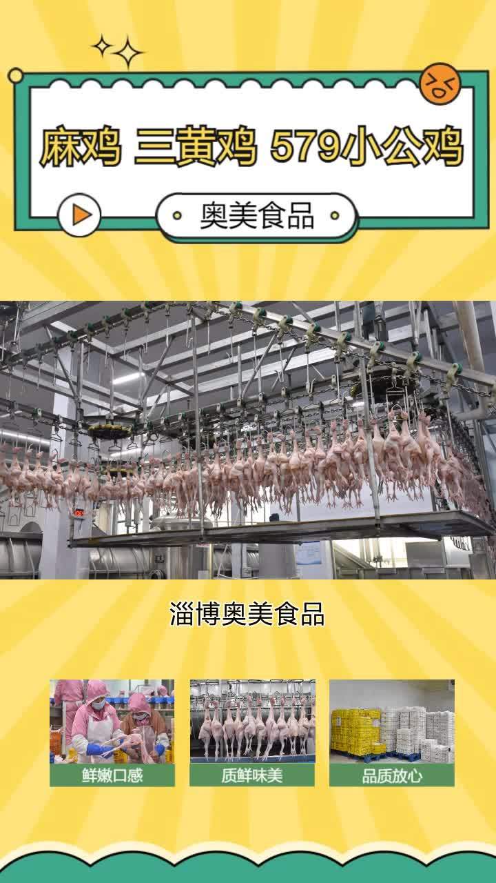 冷鲜579小公鸡生产厂家 冷冻三黄鸡供应链 冷鲜57