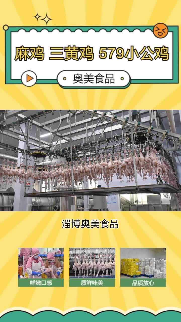 579小公鸡加工 冷冻579小公鸡价格 三黄鸡厂家