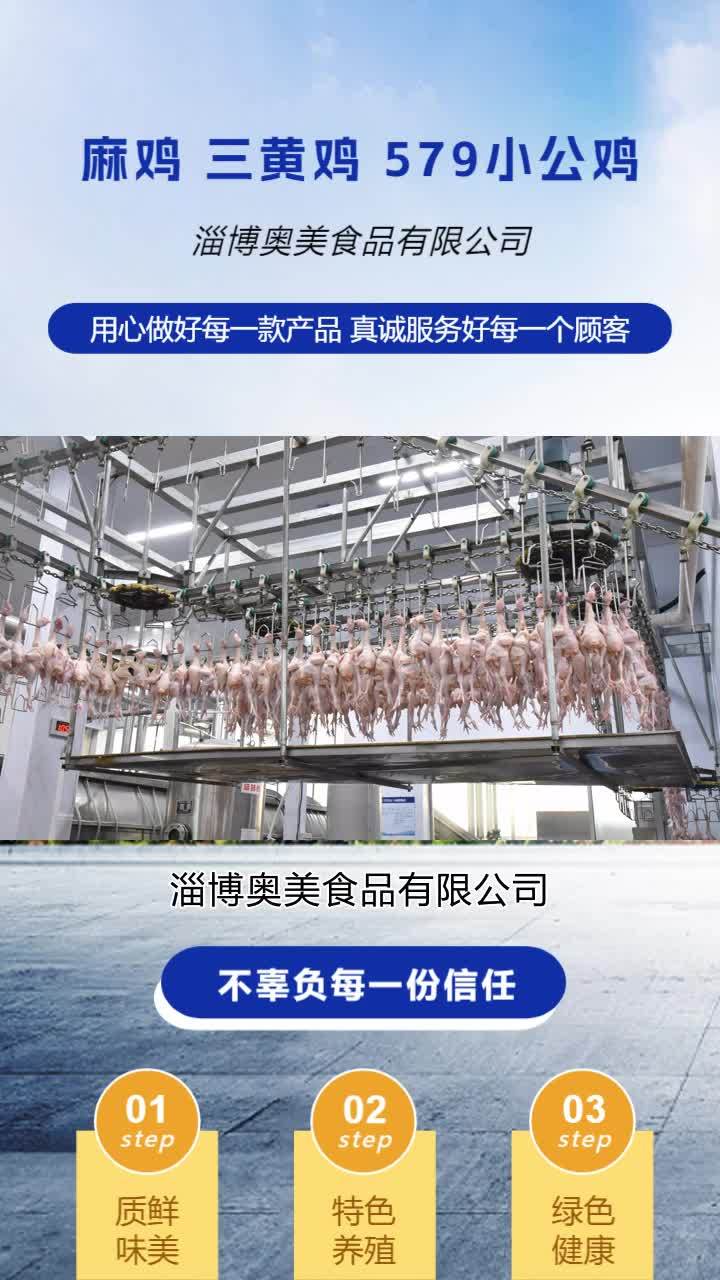 三黄鸡厂家 冷冻小公鸡批发 冷冻579小公鸡哪家好