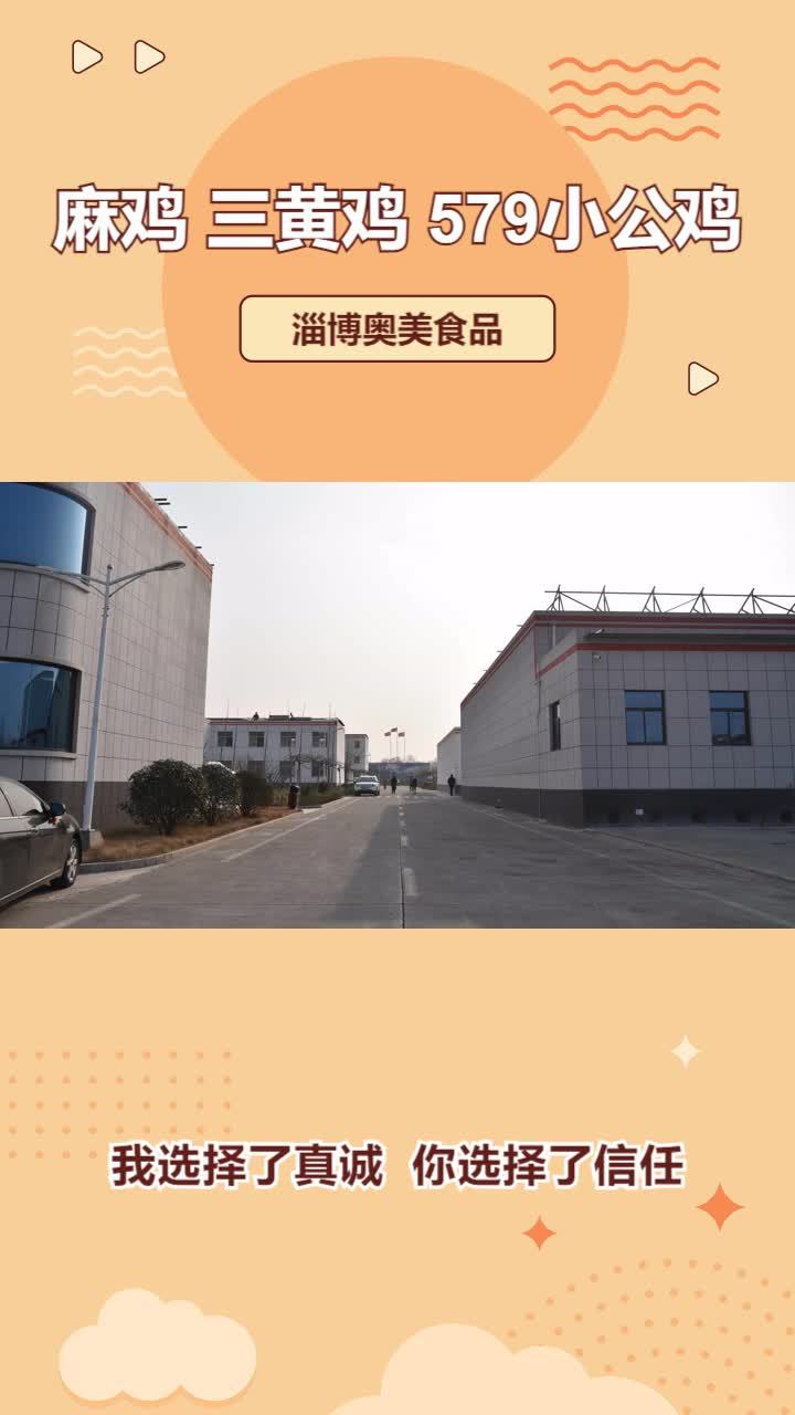 冷冻三黄鸡加工 冷冻579小公鸡厂家 冷鲜579小公