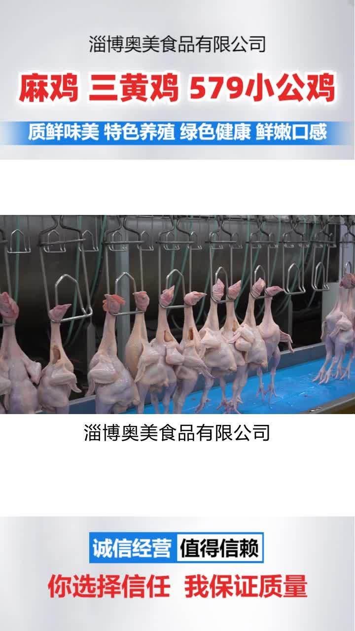 冷鲜麻鸡生产厂家 冷冻麻鸡加工 三黄鸡批发