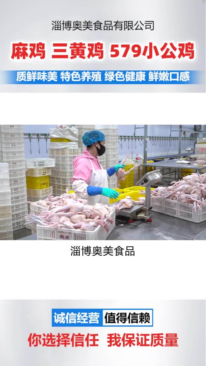 冷鲜小公鸡供应商 冷鲜579小公鸡哪家好 三黄鸡加工
