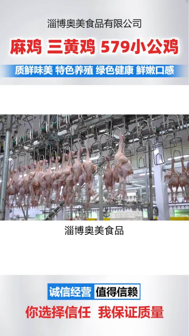 冷鲜579小公鸡价格 冷鲜三黄鸡加工厂 冷冻麻鸡哪家
