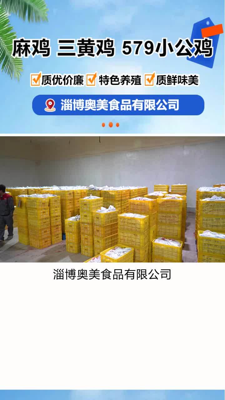 冷冻三黄鸡价格 冷鲜579小公鸡加工厂 冷鲜579小