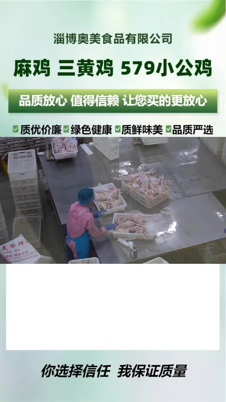小公鸡厂家 冷鲜小公鸡生产厂家 三黄鸡加工厂
