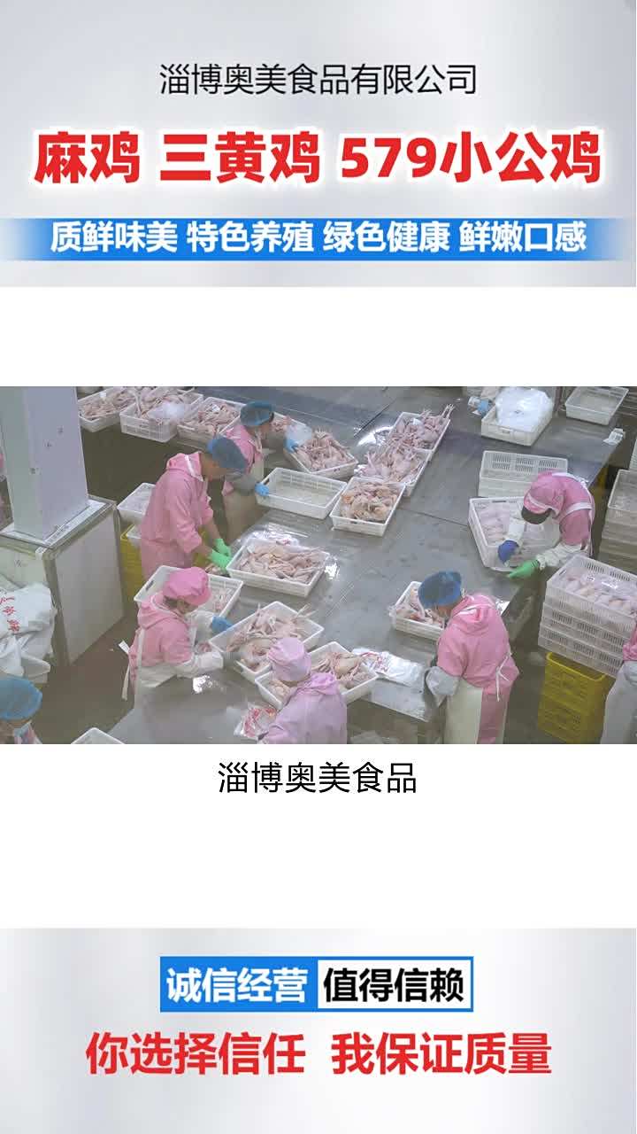 冷冻麻鸡生产厂家 冷鲜三黄鸡生产厂家 冷冻三黄鸡哪家
