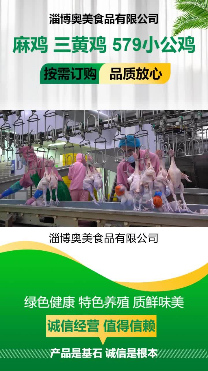 小公鸡价格 三黄鸡加工