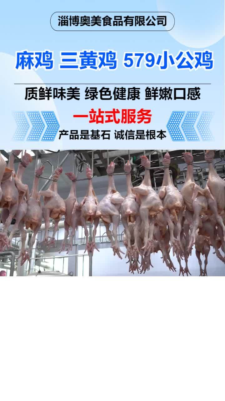 冷冻麻鸡厂家 冷冻小公鸡加工